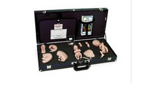 WA15715U 胚胎發育示教教程(模型、音像帶)-胚胎發育-WA15715U -上海亨隆科教設備