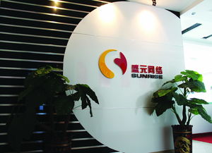 盛元網(wǎng)絡科技圖冊 探索前沿網(wǎng)絡技術的視覺盛宴